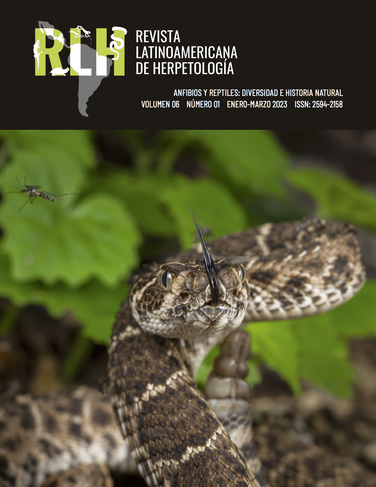 					Ver Vol. 6 Núm. 01 (2023):  Anfibios y Reptiles: diversidad e historia natural 
				