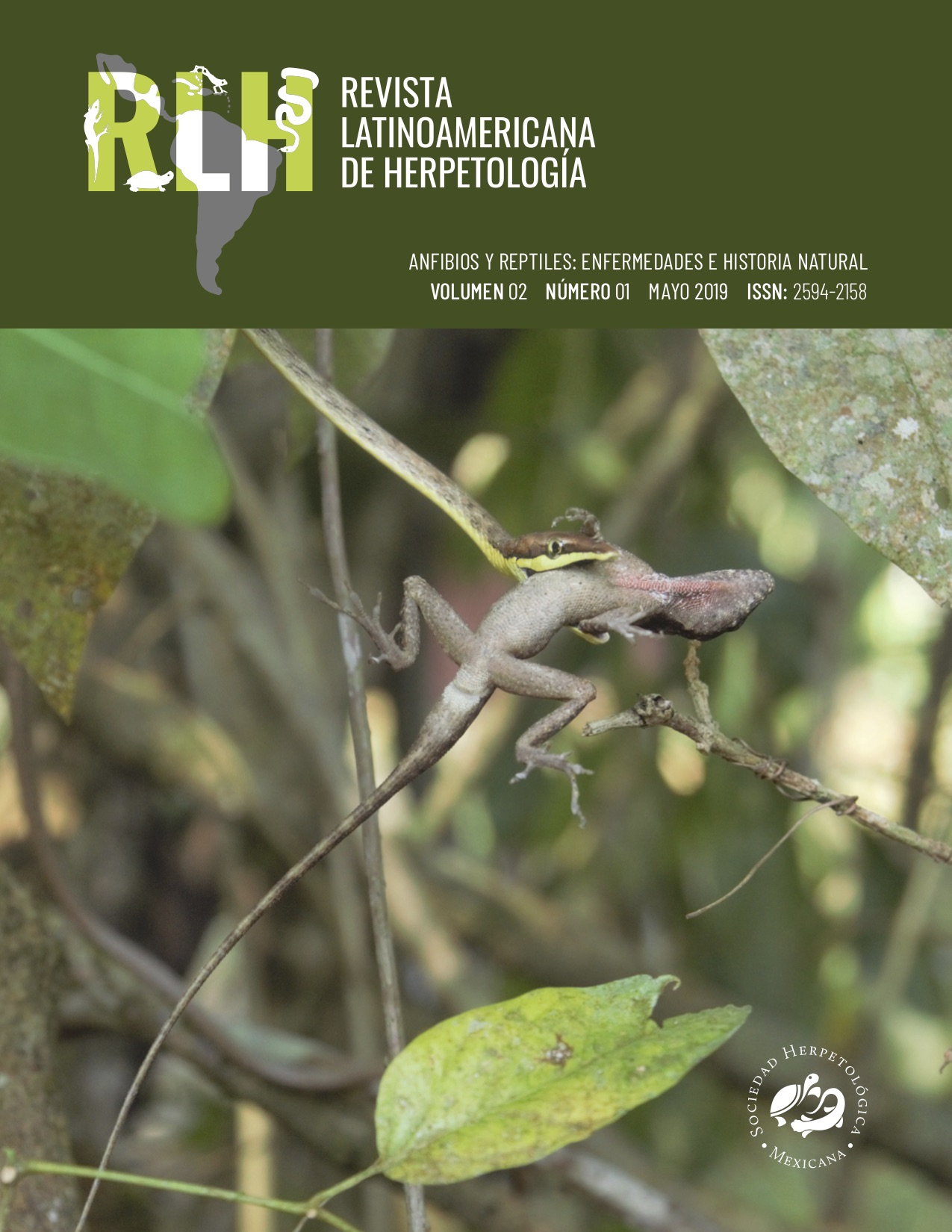 					View Vol. 2 No. 1 (2019): Amphibians and Reptiles: Diseases and Natural History
				
